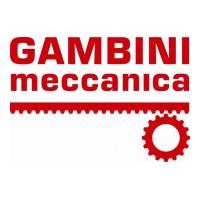 Gambini Meccanica Srl